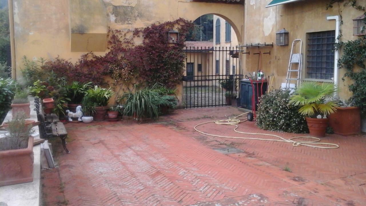 Simone 7 * Florenz